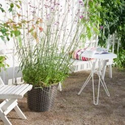 Korbo Kunststof Plantenzak 3-pack -Globen Meubilair Winkel 10423 03 032 986307ec0d