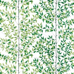 När Staren Kom Stof