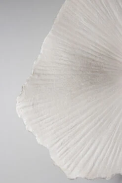 Globen Lighting Tropez Plafondlamp/wandlamp Ø60 Cm -Globen Meubilair Winkel 502513 01 4 ProductImageDetail e03d17de85