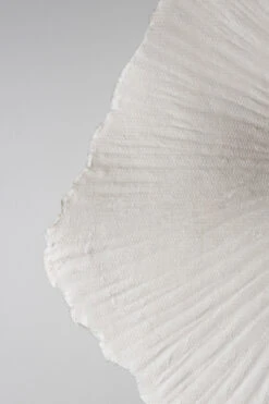 Globen Lighting Tropez Plafonnière/wandlamp Ø80 Cm -Globen Meubilair Winkel 502537 01 2 ProductImageDetail b1ed77340b