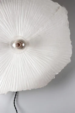 Globen Lighting Tropez Plafonnière/wandlamp Ø80 Cm -Globen Meubilair Winkel 502537 01 3 ProductImageDetail b5f129ba58