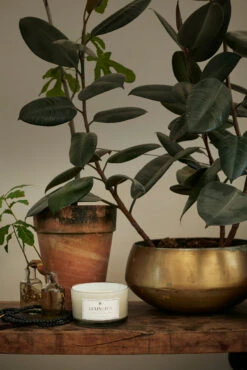 Lexington Hotel Serenity Geurkaars 3 Lonten 7 Lexington Hotel Serenity Geurkaars 3 Lonten -Globen Meubilair Winkel 502958 01 3 EnvironmentImage 6a914bb6b8