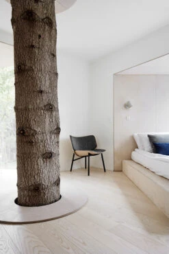 Hay Noc Wall Button Wandlamp -Globen Meubilair Winkel 503446 01 3 EnvironmentImage 0b3cf1ea48