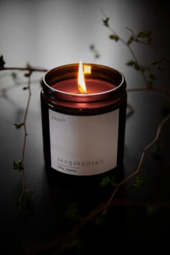 Ernst Geurkaars In Glazen Pot Met Deksel Ø7,2 Cm 5 Ernst Geurkaars In Glazen Pot Met Deksel Ø7,2 Cm -Globen Meubilair Winkel 504137 01 2 EnvironmentImage 9f8c18c2ca