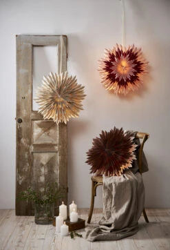 Star Trading Ice Adventsster Ø55 Cm 7 Star Trading Ice Adventsster Ø55 Cm -Globen Meubilair Winkel 504499 01 3 EnvironmentImage b7f8c0b6a5