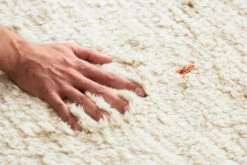 Ravi Vloerkleed 230x320 Cm -Globen Meubilair Winkel 509840 01 3 EnvironmentImage 1177e191af