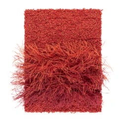 Feather Vloerkleed 170x240 Cm 5 Feather Vloerkleed 170x240 Cm -Globen Meubilair Winkel 514766 01 2 ProductImageDetail d8a9ac423c