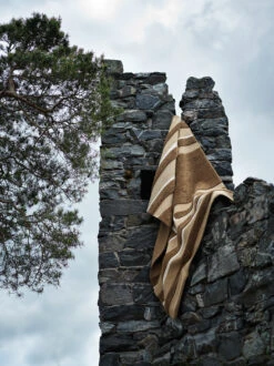 Veda Vloerkleed 170x240 Cm -Globen Meubilair Winkel 566568 01 10 EnvironmentImage.jpg bd3c94e0b8