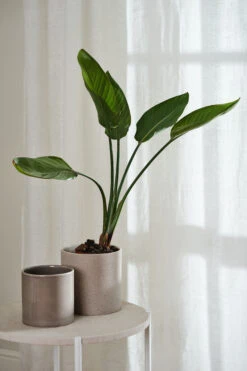 Tranquility Gordijn Met Multiband 139x250 Cm -Globen Meubilair Winkel 567103 01 40 EnvironmentImage bd4093c2ec