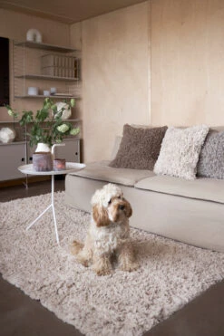 Noma Katoenen Vloerkleed 160x230 Cm 6 Noma Katoenen Vloerkleed 160x230 Cm -Globen Meubilair Winkel 570709 01 10 EnvironmentImage 4cae5547d9