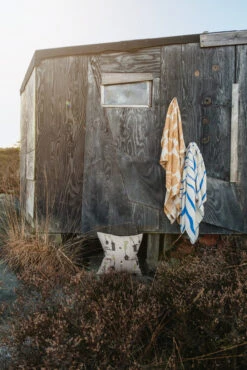 Schelp Mousselinedeken 120x120 Cm -Globen Meubilair Winkel 581744 01 41 EnvironmentImage f4484951af