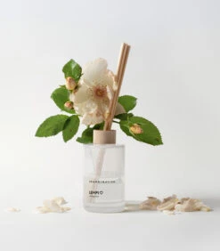 Skandinavisk Lempi Geurstokjes -Globen Meubilair Winkel 582182 01 42 EnvironmentImage 2ff488f7bc