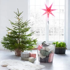 Korbo Classic 65 -Globen Meubilair Winkel 8003 01 09 6c6d447ad9