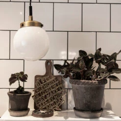 Globen Lighting Alley Hanglamp Mini -Globen Meubilair Winkel Alley pendel mini antikmC3A4ssing vit miljC3B6 e543af6701