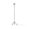 Luceplan Lola D15ND Vloerlamp -Globen Meubilair Winkel Lola D15ND floor lamp black a54075a36d