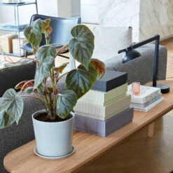 Hay PC Double Arm Tafellamp -Globen Meubilair Winkel PC double arm miljC3B6bild 1 5602148843