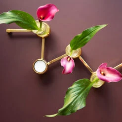 Klong Constella Inzetstuk Glas 5 Pack -Globen Meubilair Winkel constella big brass galleri 2 0aa3ec1400