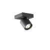 Focus 1 Muur- En Plafondlamp 2 Focus 1 Muur- En Plafondlamp -Globen Meubilair Winkel focus 1 black bb92c53775