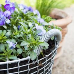 Korbo Classic 24 -Globen Meubilair Winkel p 12606 01 05 8024b0523c