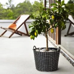 Korbo Classic 24 -Globen Meubilair Winkel p 12606 01 06 2a67b8f8eb