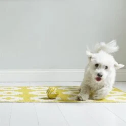 Flower Vloerkleed Sun (geel) -Globen Meubilair Winkel p 25459 02 04 cb885d5ed1