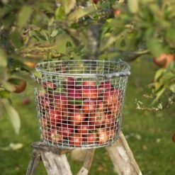 Korbo Bucket 24 -Globen Meubilair Winkel p 8001 01 02 2a014d17f5